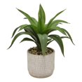 thumbnail image 1 of Plutus Brands PBTH92486 Porcelain Faux Succulents In Flower Pot, Green, 1 of 1