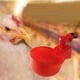 thumbnail image 3 of (Nota para Realizar El Pedido: Se Ha Agregado La Tarifa Embalaje) Bebedero Automático Espesado Bebedero Codorniz Bebedero para Loros Bebedero para Pollo para para Pollo (1 Pieza), 3 of 8