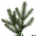 thumbnail image 2 of Vickerman 6.5' x 52" Balsam Spruce Artificial Christmas Tree, Warm White Low Voltage 3MM LED Lights, 2 of 2