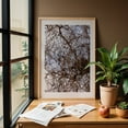 thumbnail image 6 of Untitled - Portland Oregon Photography Abstract Nature Botanical Woodland Woods Scenic Minimalist Oak Framed Wall Art Print 12 x 18 inches, 6 of 59