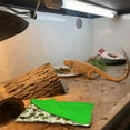 thumbnail image 5 of Bearded Dragon Sleeping Bag with Pillow and Blanket Reptile Habitat Accessories, 5 of 8