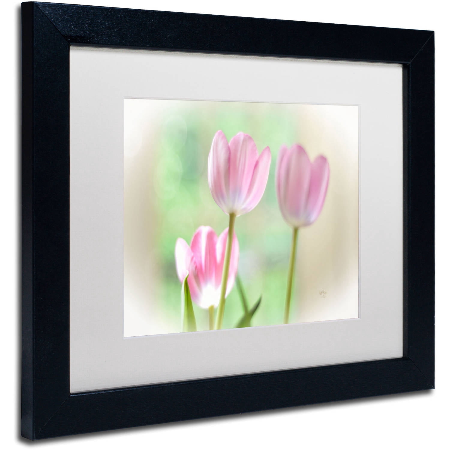 Trademark Fine Art "Three Pink Tulips" Canvas Art by Lois Bryan, White Matte, Black Frame