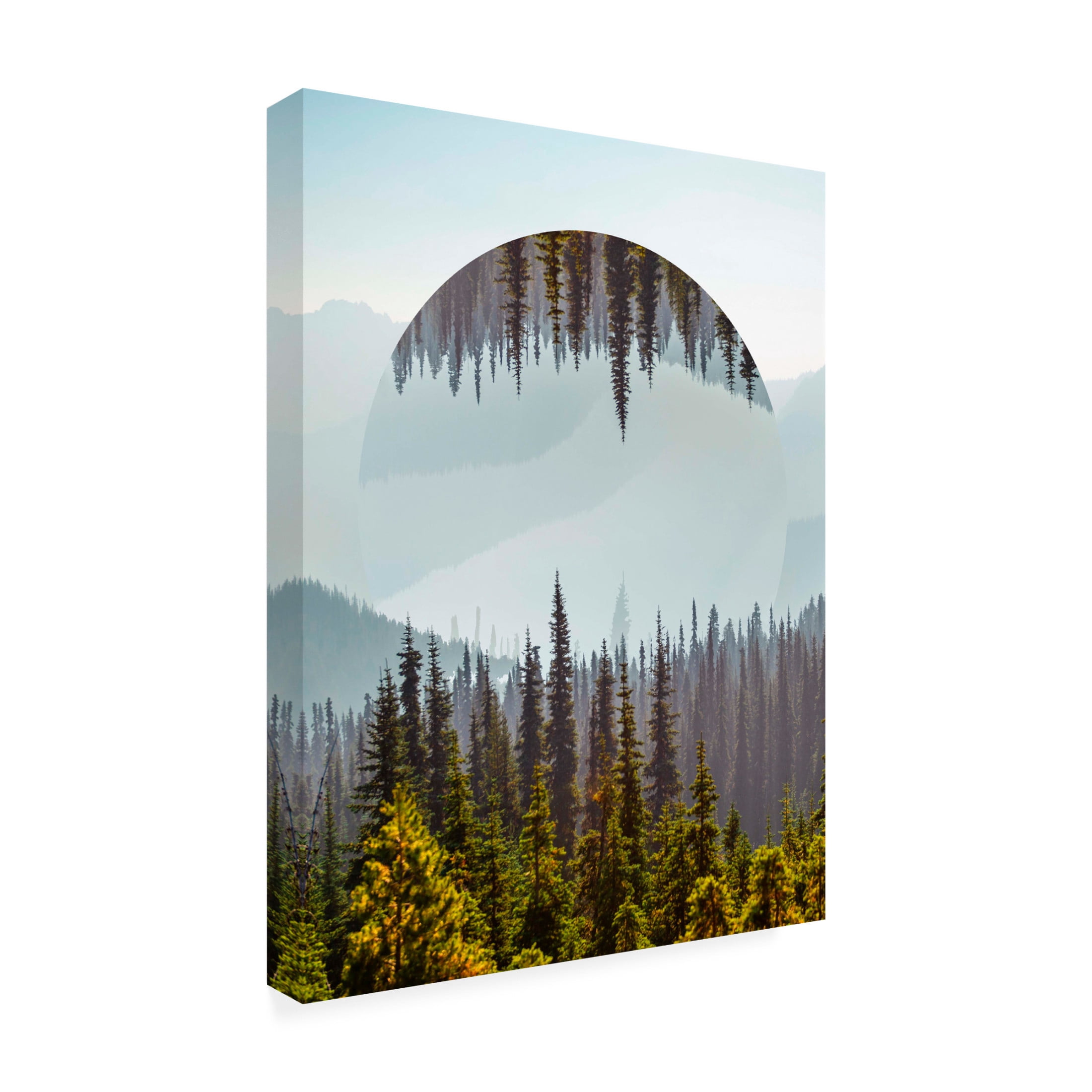 Trademark Fine Art Vision Studio  Western Treetops IV Canvas Wall Art