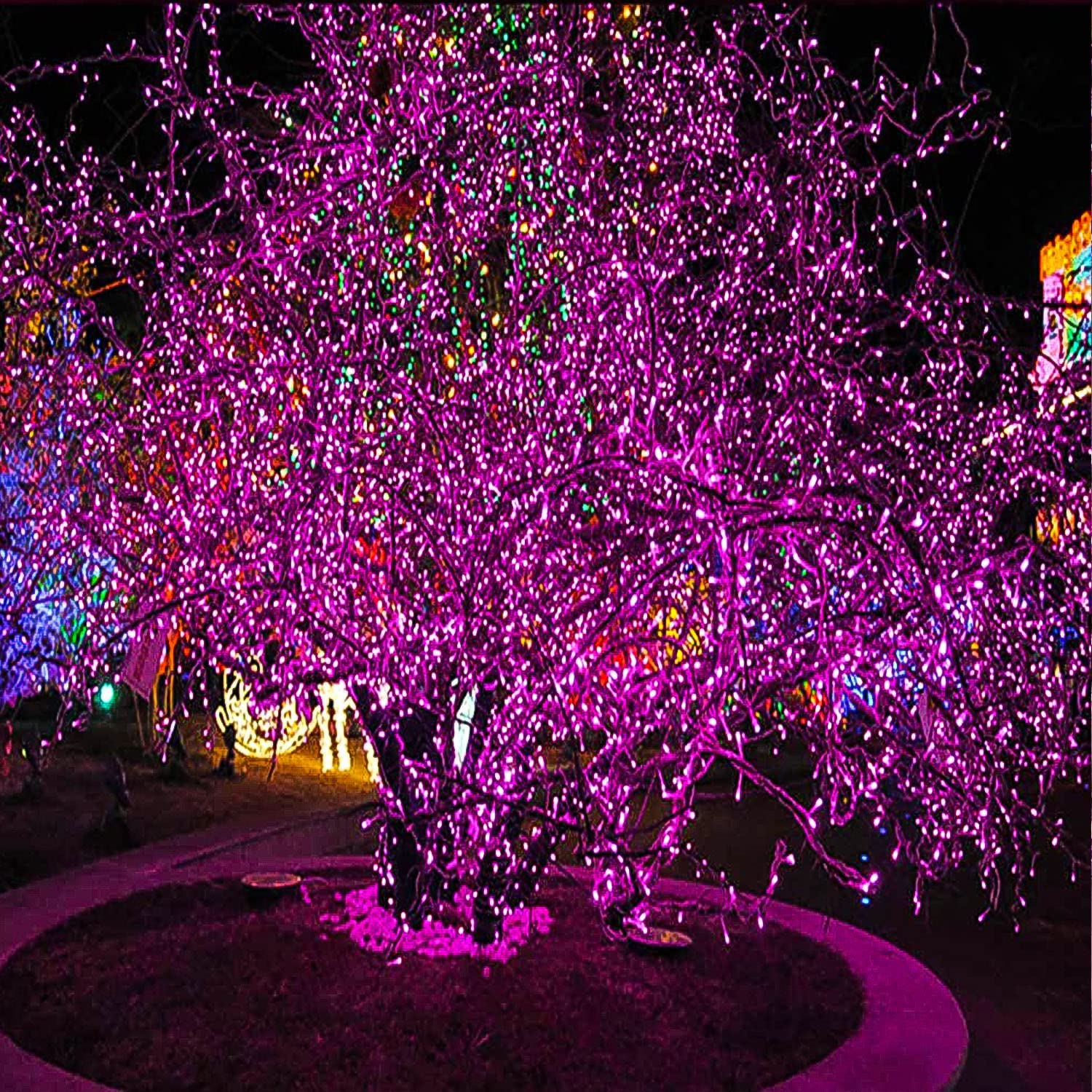 Bincy 33FT LED Christmas String Lights, Pink, 100 Bulbs, 8 Modes photo 5