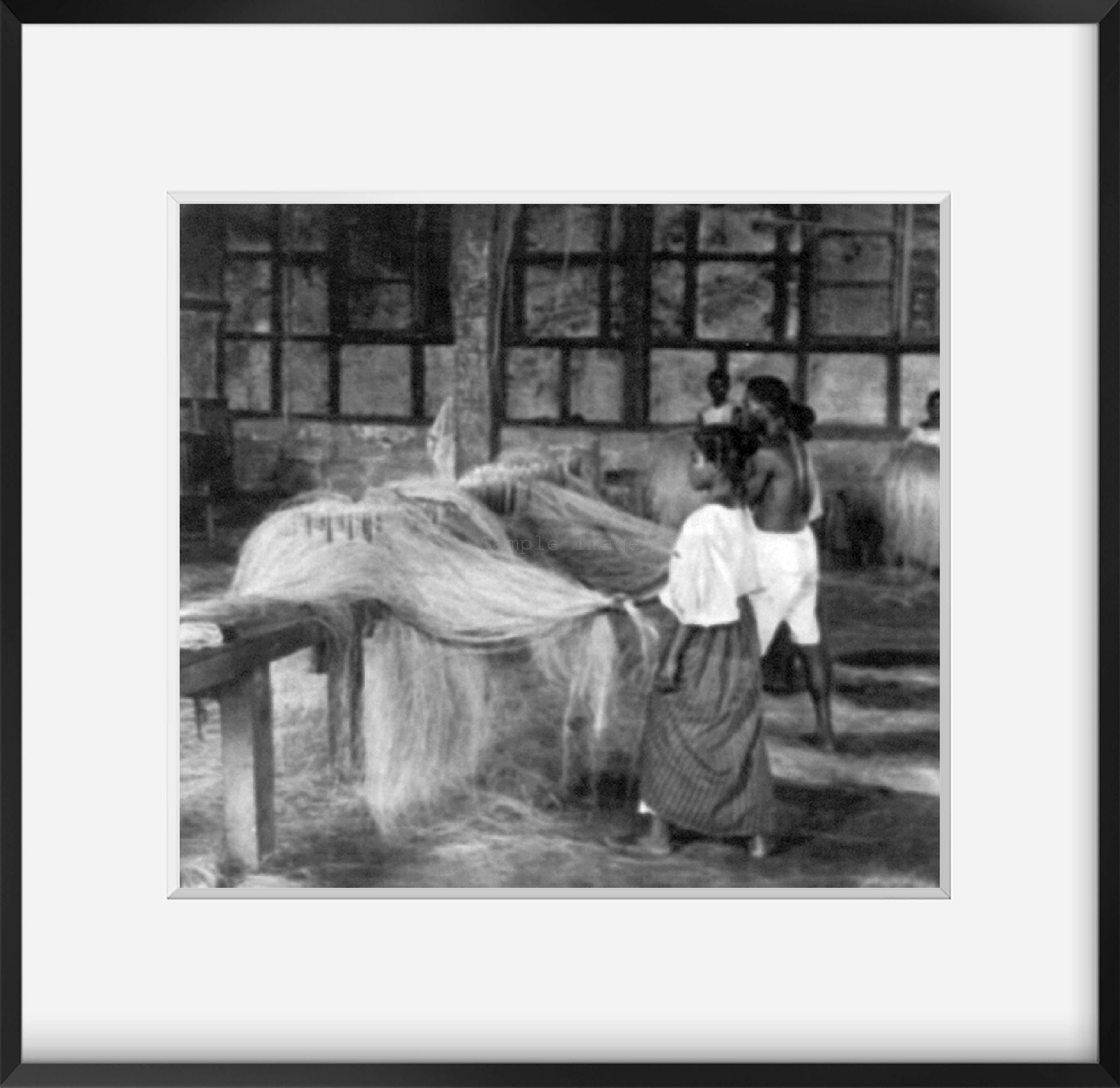 Photo Manila hemp industry, Philippines Filipino rope factory