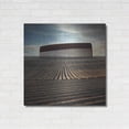 thumbnail image 3 of Luxe Metal Art 'Combing The Field' by Dariusz Klimczak, Metal Wall Art, 36"x36", 3 of 9