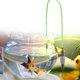 thumbnail image 3 of Tubo de cambio de agua con sifón, herramienta de cambio de agua Cambiador de agua con sifón Tubo de cambio de agua con sifón manual Aspecto llamativo, 3 of 8