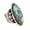 Antique Silver, variant on SPRING PARK Women's Ring Oval Cut Bohemia Turquoise Carved Ring Jewelry