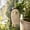 C, variant on EDHITNR Handmade Whimsical Resin Wind Chime Ornaments, Vintage Distressed Garden Decor for Patio Porch Yard, Weather Resistant Outdoor Hanging Decoration with Gentle Tinkling Sound