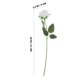 thumbnail image 2 of VERDANVERSE 10Ud Flores Artificiales De Rosas Con Tallo Para Y Ramo De, 2 of 6