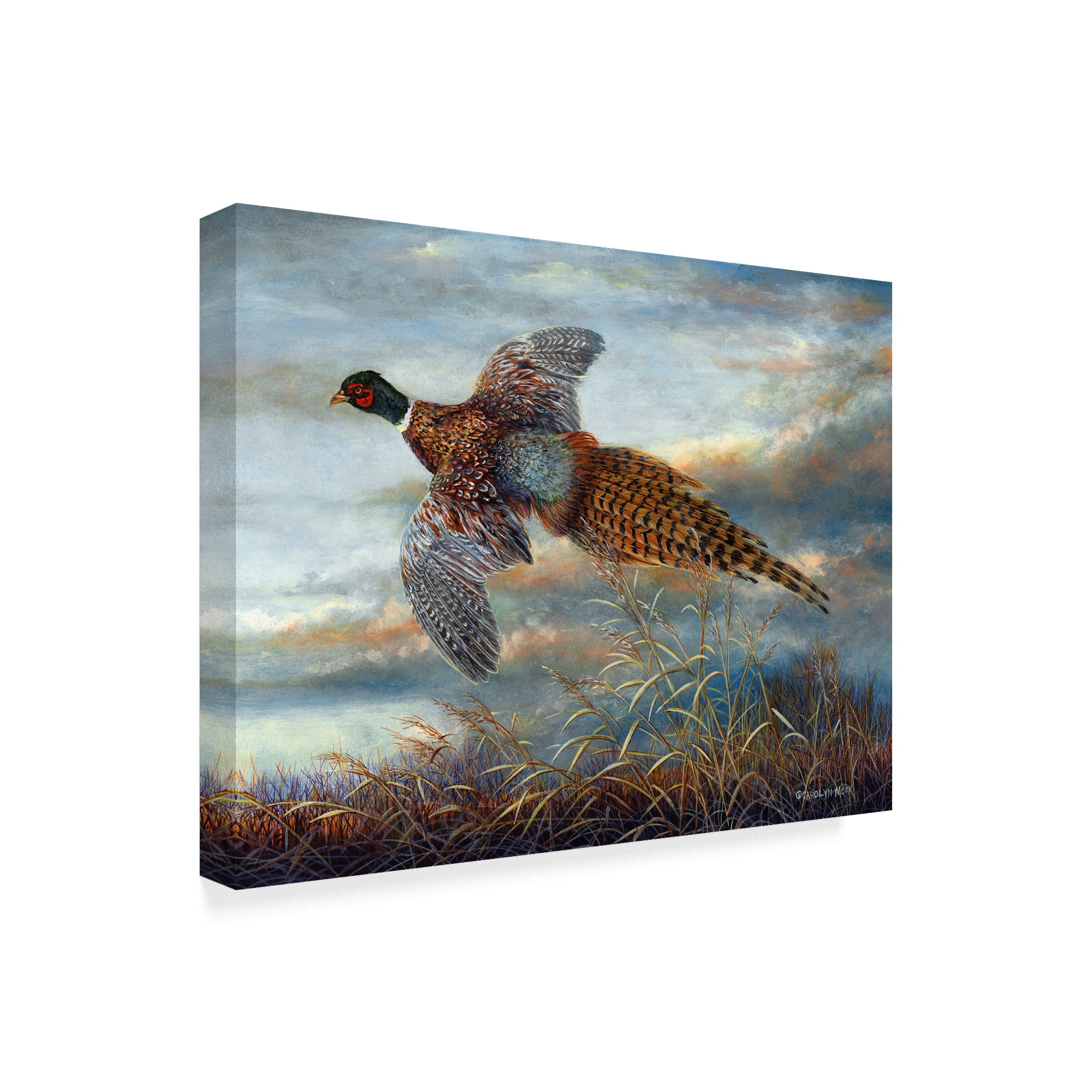 Trademark Fine Art 'Taking Flight' Canvas Art by Carolyn Mock