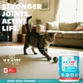 thumbnail image 2 of UBAVET Joint Gold Joint Care Powder for Dogs & Cats – 8.8 oz (250g), 2 of 7