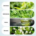 thumbnail image 3 of Té Verde, Regusto Duradero, Elegante Y Rica Fragancia, Hojas De Té Frescas Y Espesas Para Fiesta, 3 of 7