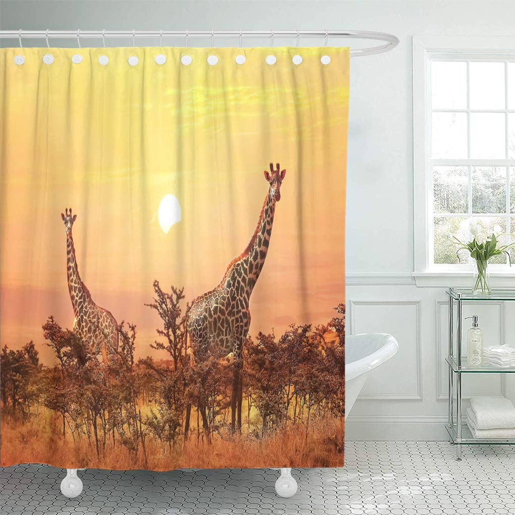 CYNLON Africa Group of Giraffes on Sunset Background Kenya Life