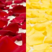 Red & Yellow Rose Petals - Approximately 5000 Units