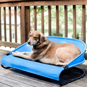 Gen7PetsTrailblazer Dog Cool-Air Cot, Medium (Assorted Colors)