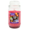 Better Homes & Gardens 18 Ounce Malibu Mango Melon Scented Candle