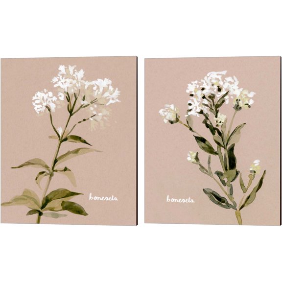 Great Art Now White Bonesets by Emma Caroline 2 Piece Canvas Art Set Each 12W x 15H