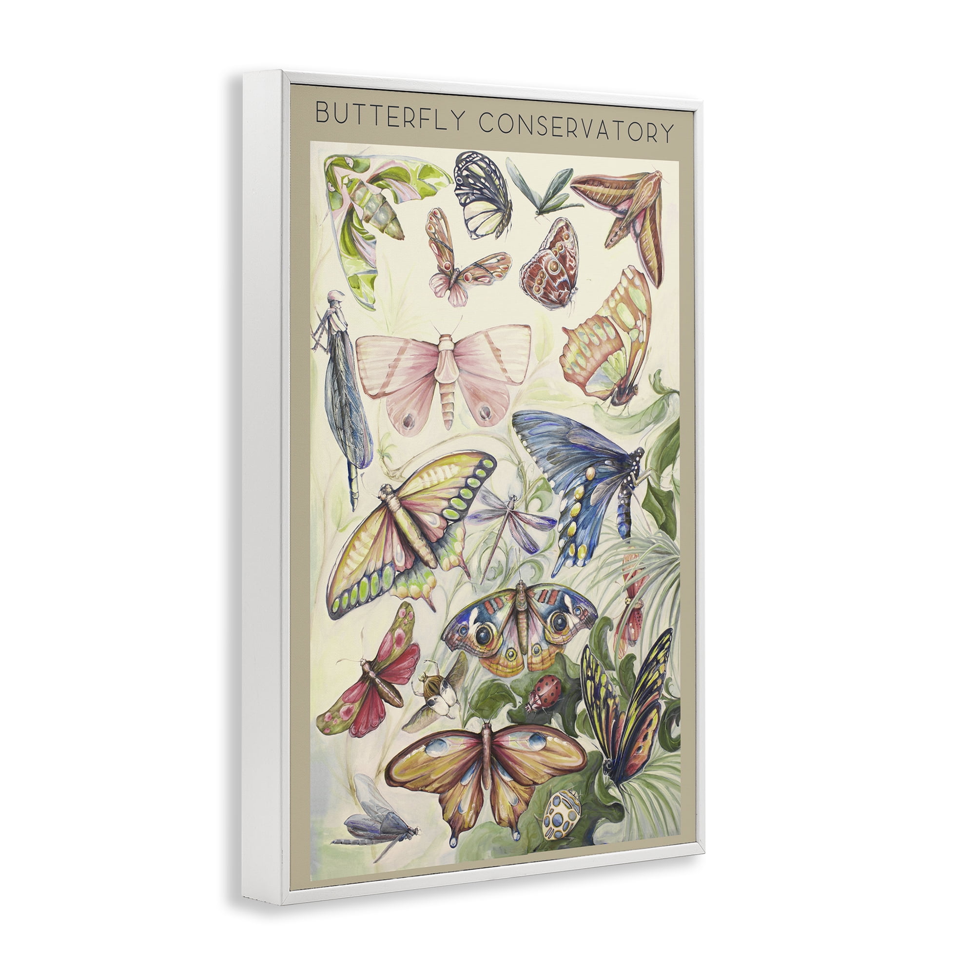Stupell Industries Butterfly Conservatory Insects White Framed Giclee Art, design by Diannart