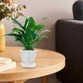 thumbnail image 2 of Shisuyan Grow Pots Plastic 1Set 7.1In Round For Plant Growth Observation, 2 of 9