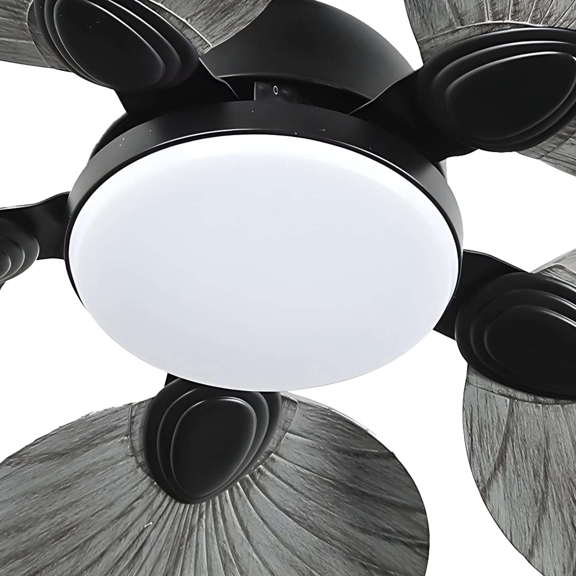 Dextrus 42 inch Tropical Ceiling Fans with LED Light and Remote, Fan Light with Memory Function, 6 Speed & Lights Colors Changing, 5 blades - Gray
