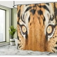 thumbnail image 5 of Ambesonne Orange Black Shower Curtain, Tiger Eyes Wild, 69"Wx70"L, Orange Black, 5 of 5