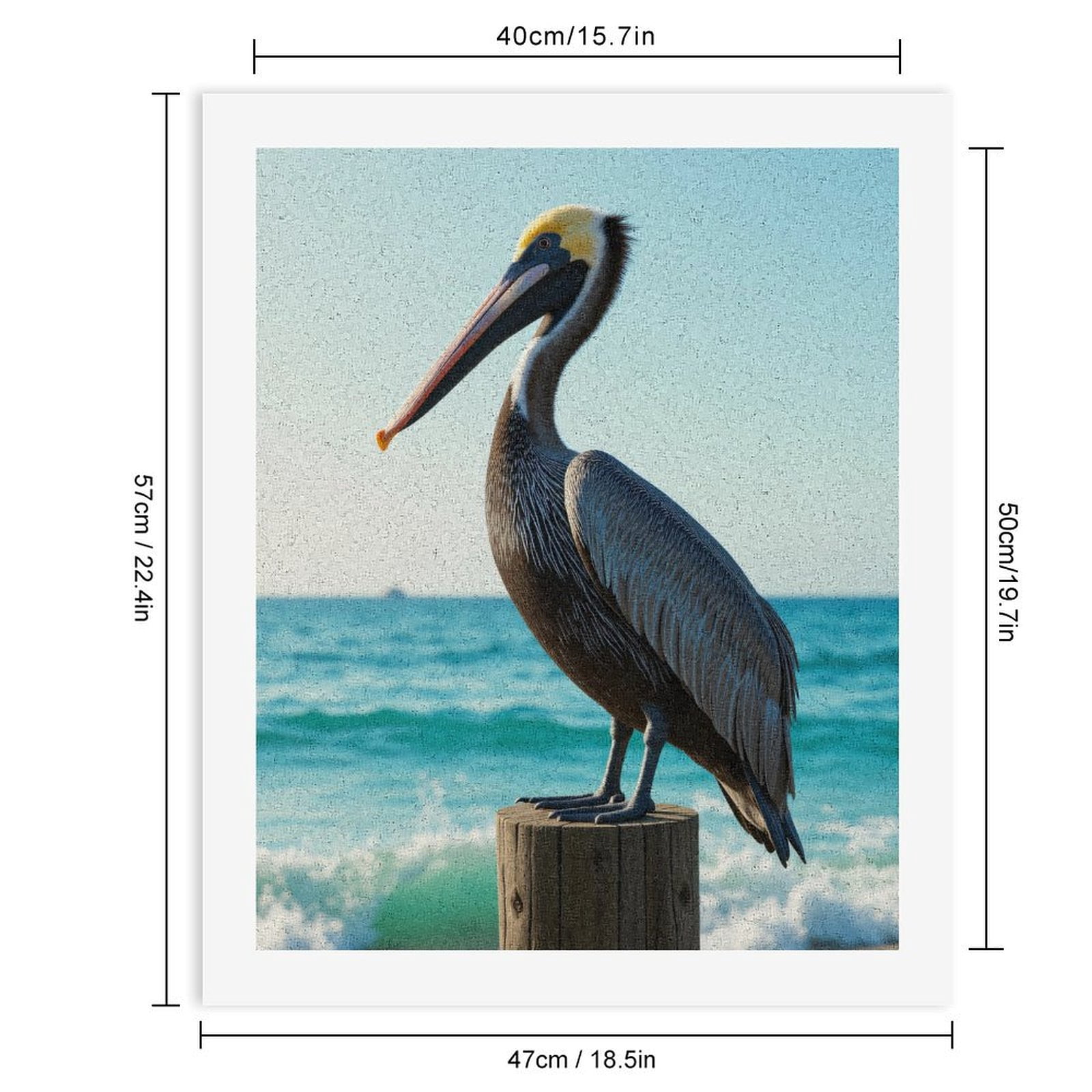 Paint By Numbers Kit for Adults Beginner - DIY Pelican Ocean Sunset Perched Bird Canvas Painting Kits for Adults, Frameless Paint By Number for Adults for Home Wall Decor 16x20 Inch