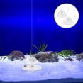 thumbnail image 4 of 2 trampas de plástico para caracoles de acuario, tamaño L, color blanco., 4 of 8