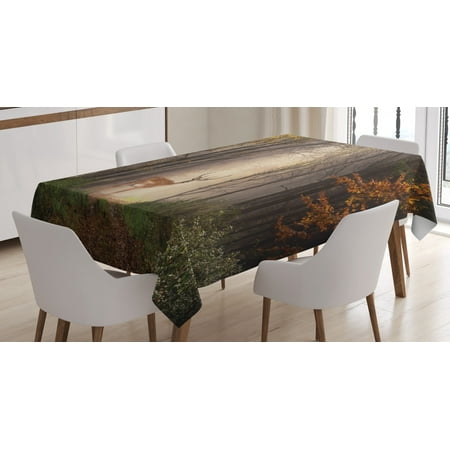

Wildlife Tablecloth Stag Deer Discovers a Dreamy Misty Hazy Forest Autumn Tree Foggy Mystical Pathway Rectangular Table Cover for Dining Room Kitchen 60 X 84 Inches Multicolor by Ambesonne
