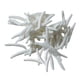 thumbnail image 3 of Juguetes de broma de gusanos falsos Macarena 100 Uds, 3 of 8