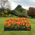 thumbnail image 4 of Dwellnix Landscape Edging,4 Pieces 40in,8.46in Height,Steel with Nano Baking Paint,Easy to Connect,Ideal for Preventing Weed invasion in Gardens, 4 of 10