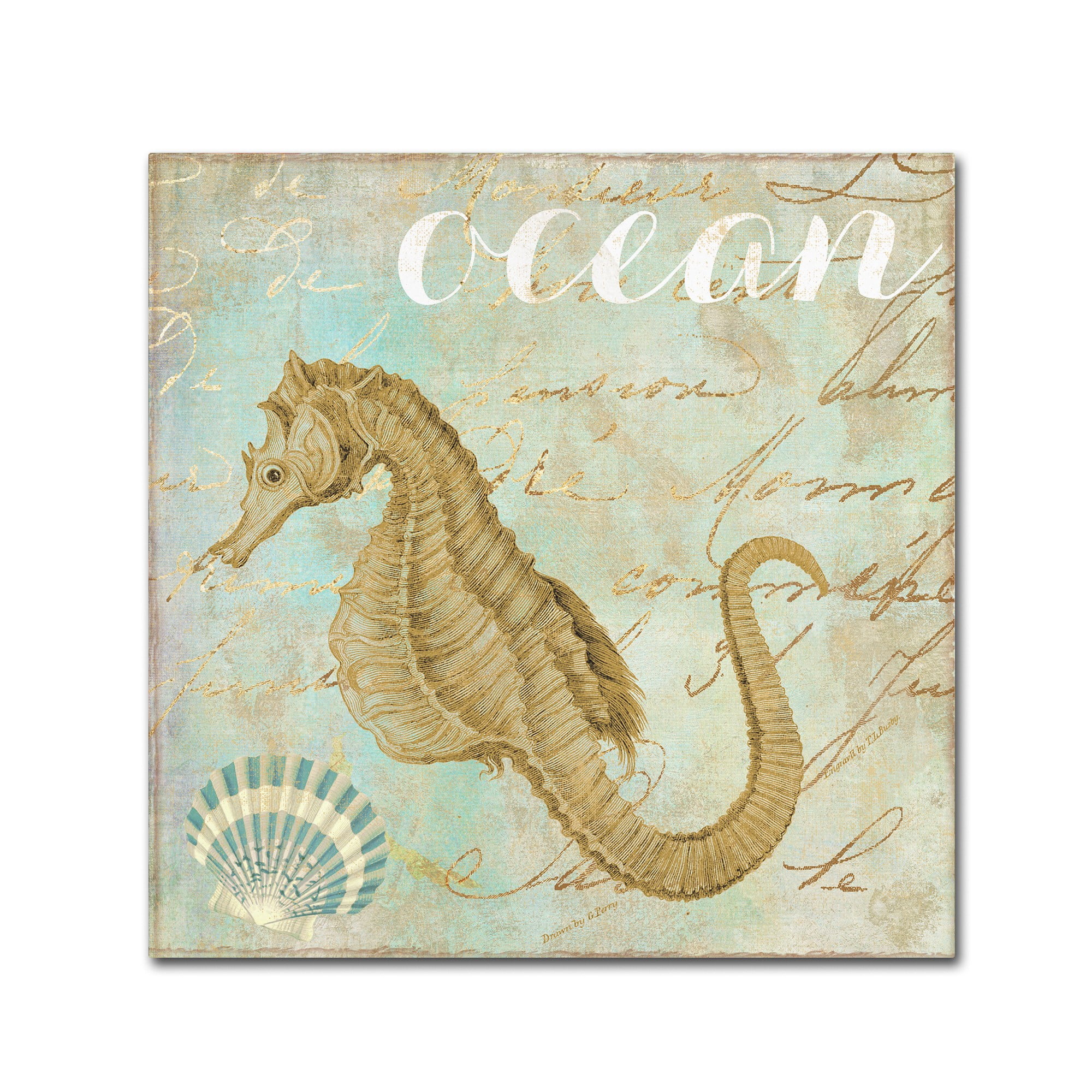 Trademark Fine Art "Turquoise Beach III" Canvas Art by Color Bakery