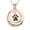 Rose, variant on Personalize Pet Memorial Circle of Life Pendant Necklace for Cremation Ashes Holder Paw Print Keepsake Memorial Jewelry Necklace for Dog Cat Ashes