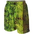 thumbnail image 1 of Men's Personalized Swim Trunks Beachwear Swimsuits Board Shorts Bathing Suits, 1 of 7