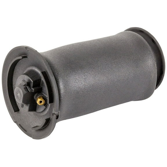 For BMW 530xi 2006 2007 2008 2009 2010 Rear Air Suspension Spring - BuyAutoParts