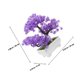 thumbnail image 2 of unbranded 2Ud Árbol Bonsái Artificial De Pino En Maceta Para De Hogar Oficina Y Tienda, 2 of 6