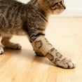 thumbnail image 3 of Self- Bandage Wrap for Pet Injury Support and Flexible, 3 of 3