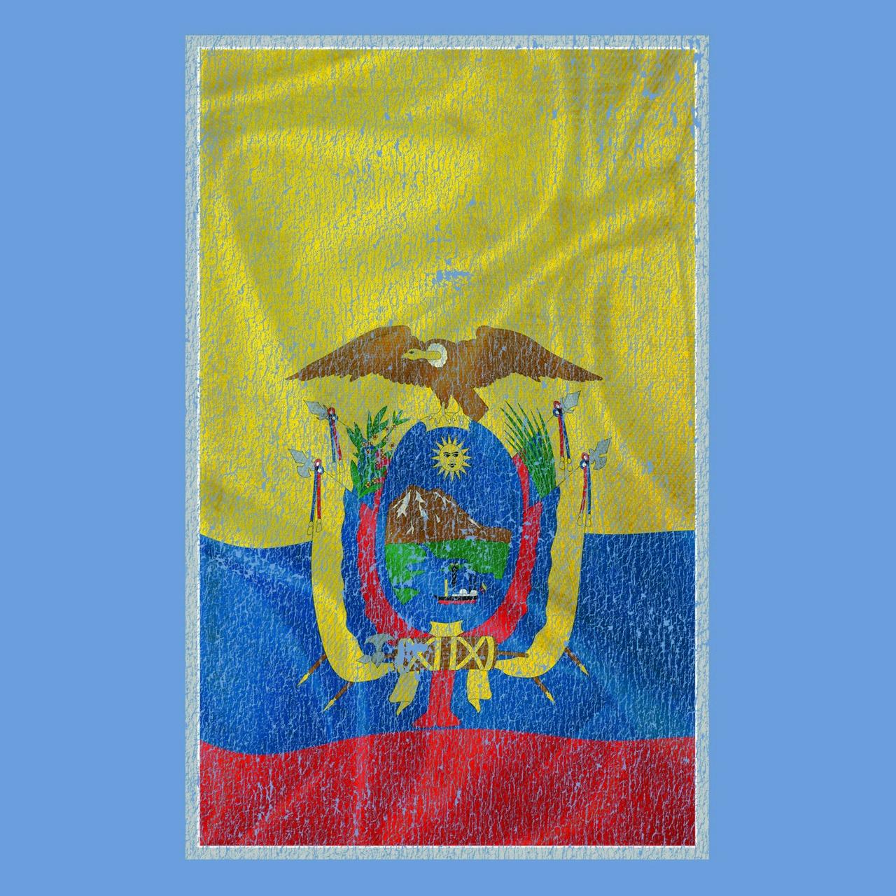 Animal De La Bandera De Ecuador Men's Ecuador Ecuadorian Flag T-Shirt - Walmart.com