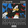 thumbnail image 2 of Mens Sonic the Hedgehog Shadow Portrait Lightweight Hoodie, 2 of 4