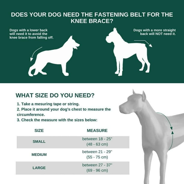 Left leg dog best sale brace
