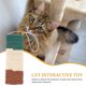 thumbnail image 2 of KAKOWELY Juguete rascador para gatos Juguete rascador para gatos Juguete rascador de sisal Suministros para gatos, 2 of 5
