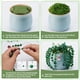 thumbnail image 5 of Kit de plantas con cuentas XHYMIA, cuentas de vidrio verde para suculentas, 5 of 7