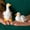 2Pcs duck figurine Under $5 a1, variant on Werulen Ceramic Duck Figurine Cute Stable Base,Home Desktop Table Decoration Ornament,Duck Figurine,Desktop Daily Decor,Home Decor Ornament