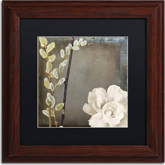 Trademark Fine Art "India I" Canvas Art by Color Bakery, Black Matte, Wood Frame