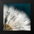 thumbnail image 2 of Miller, Irene 15x15 Black Modern Framed Museum Art Print Titled - Dandelion Dreams II, 2 of 5