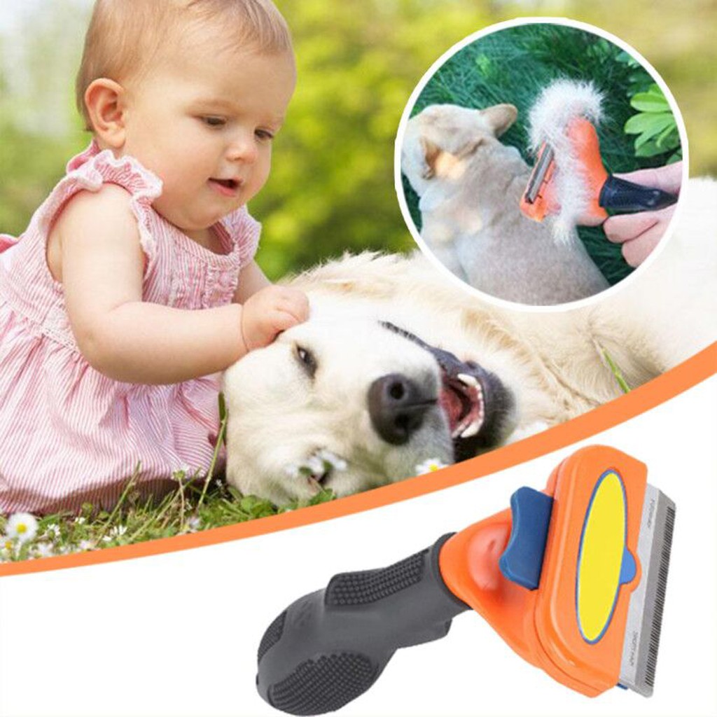 dog brush that catches hair