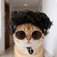 thumbnail image 1 of BotaniNest Funny Cat Cosplay Headwear Apparel Cat Dress Up For Parties Festivals For Small Medium And Large, 1 of 3