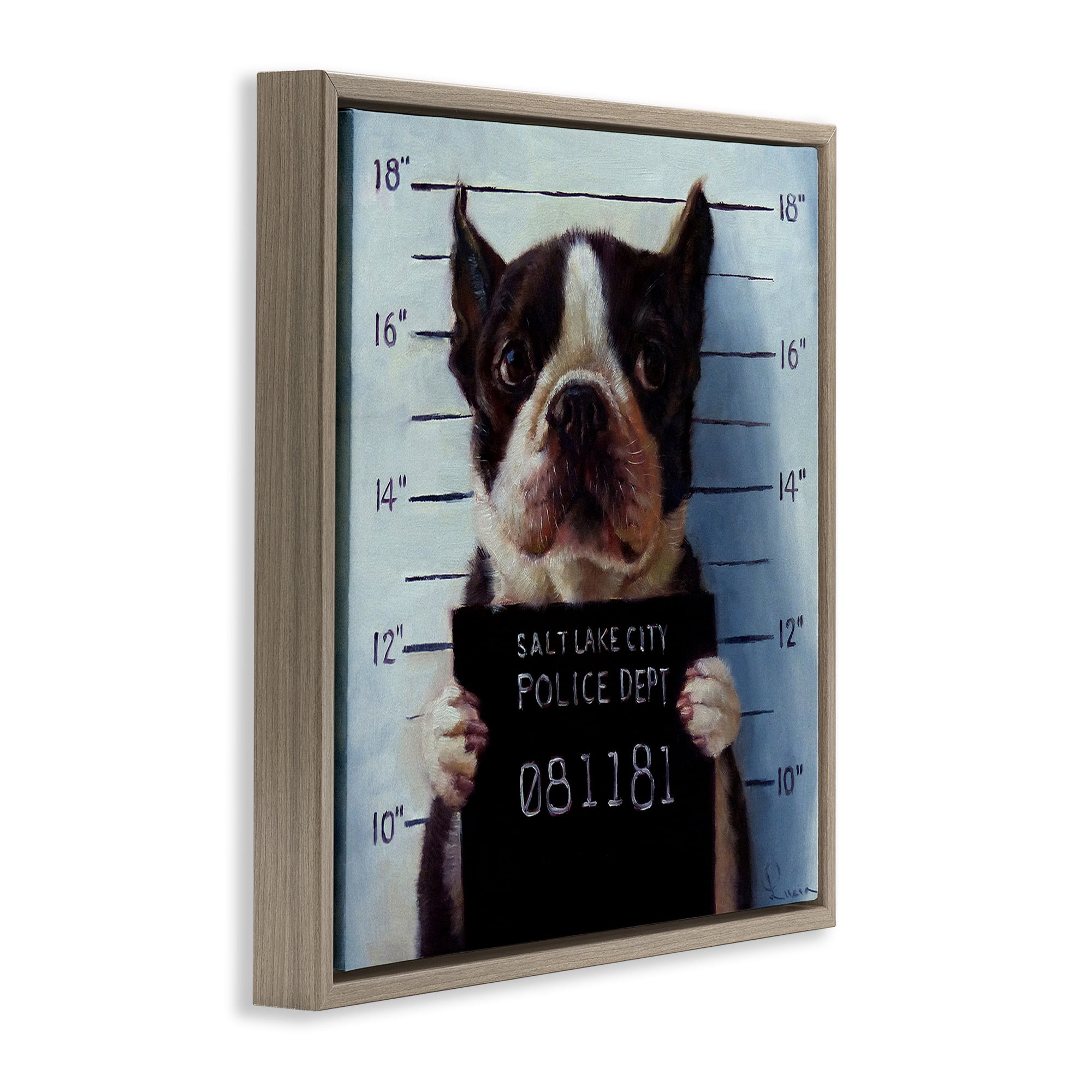 Stupell Industries Boston Terrier Jail Convicted Mugshot Animals & Insects Painting Brown Floater Framed Canvas Art Print Wall Art, 25 x 25
