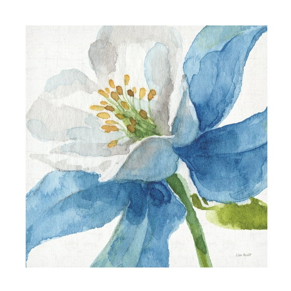 Trademark Fine Art 'Blue and Green Garden VI' Canvas Art by Lisa Audit