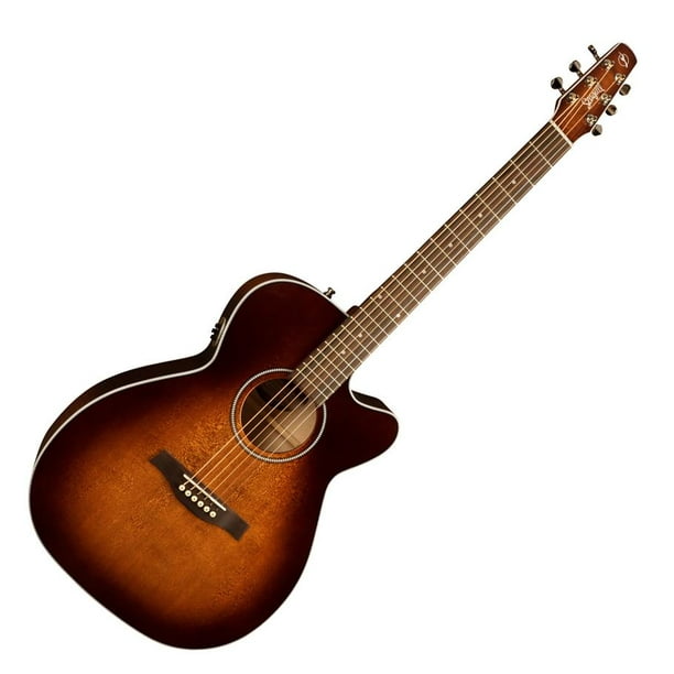 Seagull performer sale cut concert hall